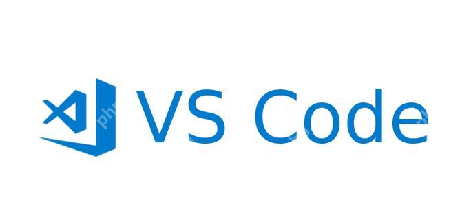 VSCode 插件更新后导致编辑器崩溃的原因及解决办法-小浪学习网
