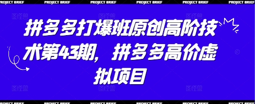 拼多多打爆班原创高阶技术第43期，拼多多高价虚拟项目-小浪学习网