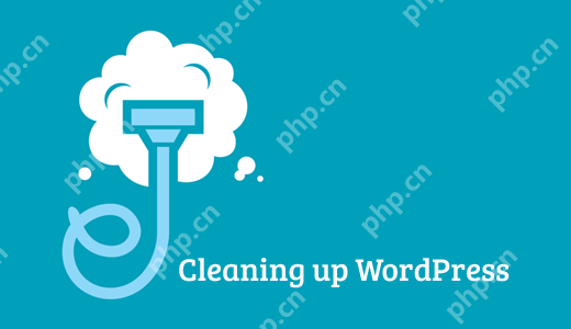 如何清理 WordPress 数据库以提高性能-小浪学习网
