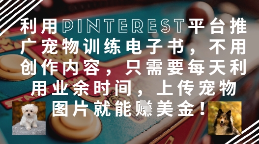 利用Pinterest平台推广宠物训练电子书，不用创作内容，只需要每天利用业余时间，上传宠物图片就能挣美金!-小浪学习网
