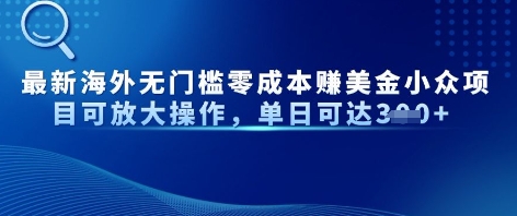 最新海外无门槛美金小众项目可放大操作，单日可达3张-小浪学习网