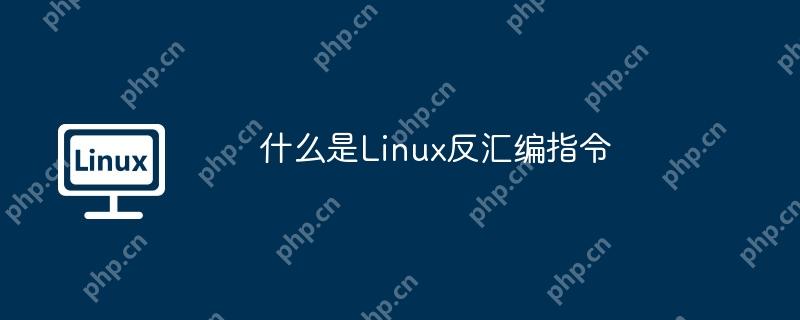 什么是Linux反汇编指令-小浪学习网