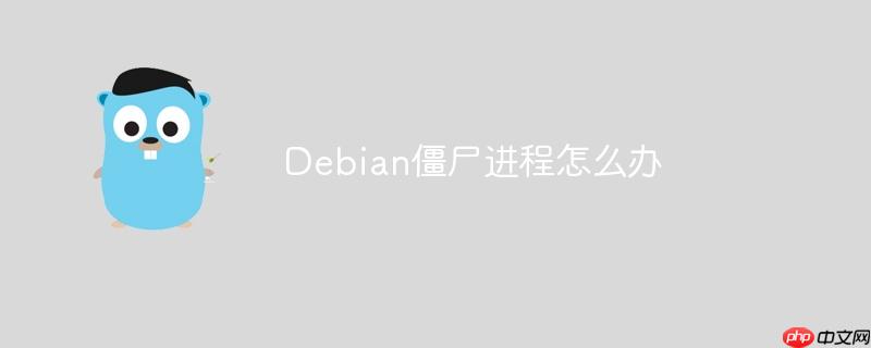 Debian僵尸进程怎么办-小浪学习网
