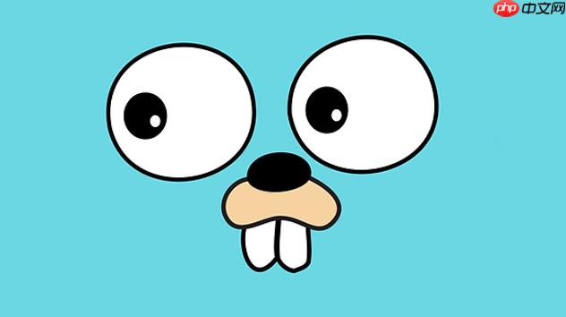 Golang空指针异常怎么解决？Golangnil值处理技巧