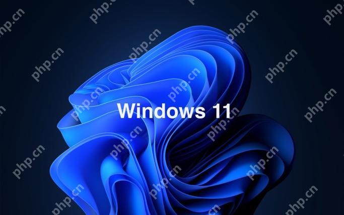 win11升级无法选择保留文件 win11升级保留文件技巧-小浪学习网