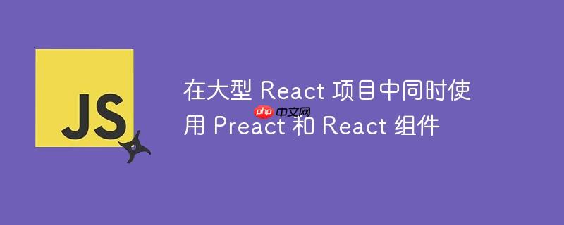 在大型 React 项目中同时使用 Preact 和 React 组件-小浪学习网