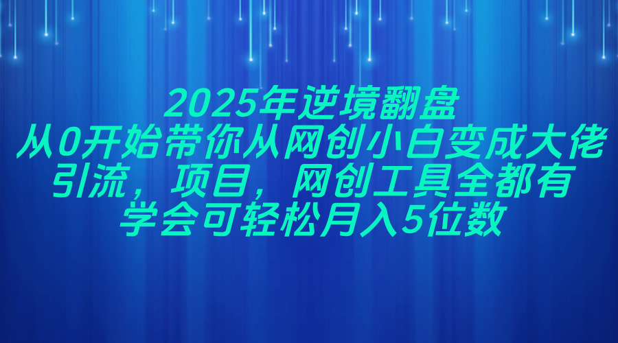 （14473期）2025年逆境翻盘，从0开始带你从网创小白变成大佬，引流，项目，网创工…-小浪学习网