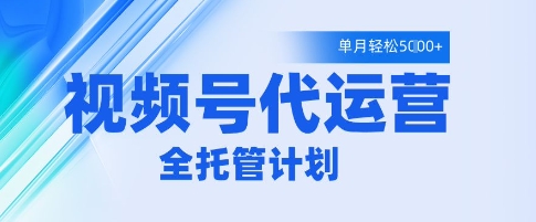 视频号代运营2.0，全程托管招募，单月轻松变现5k【揭秘】-小浪学习网