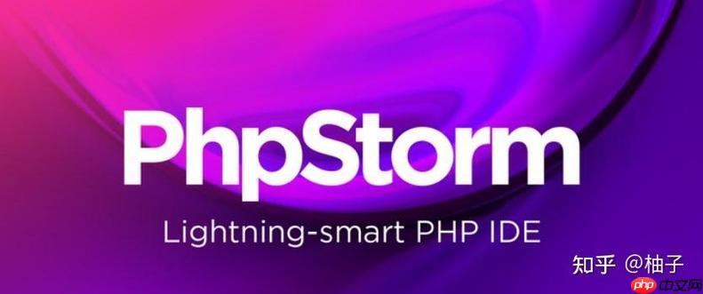 PHPStorm 对 Vue.js 项目的代码提示与组件识别问题-小浪学习网