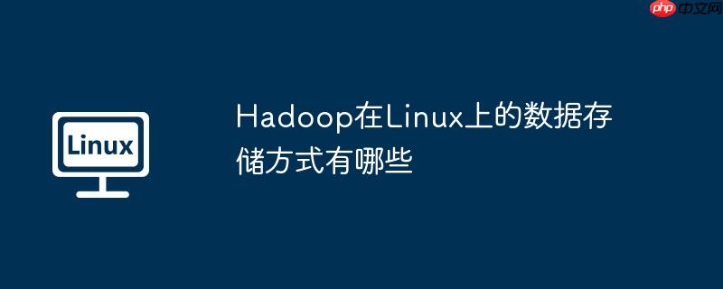 Hadoop在Linux上的数据存储方式有哪些-小浪学习网
