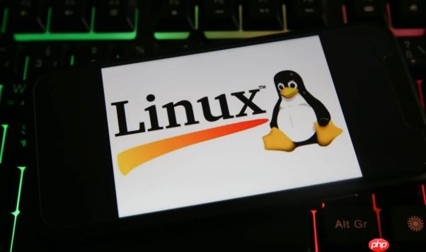 如何修改Linux文件的权限？chmod数字与符号模式解析-小浪学习网