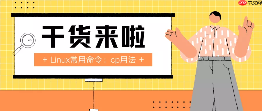 日更第2天：Linux常用命令之cp用法-小浪学习网