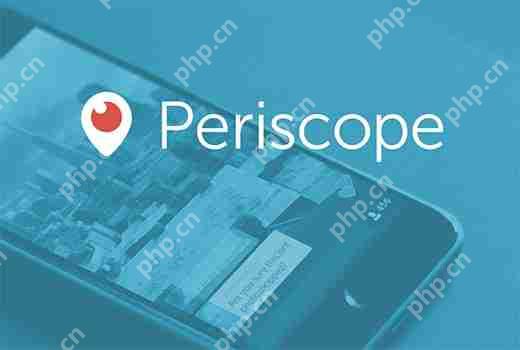 如何在 WordPress 中添加 Periscope On Air 按钮-小浪学习网