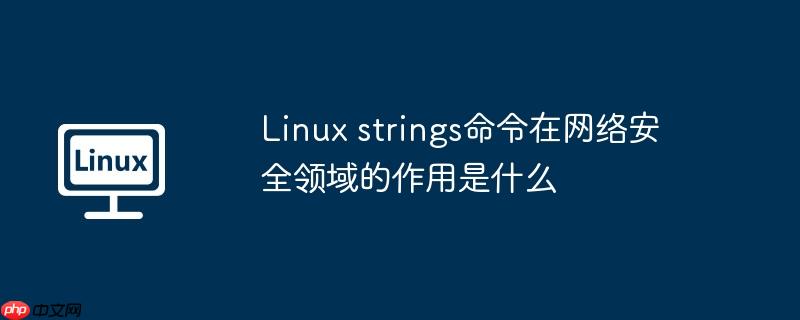 Linux strings命令在网络安全领域的作用是什么-小浪学习网
