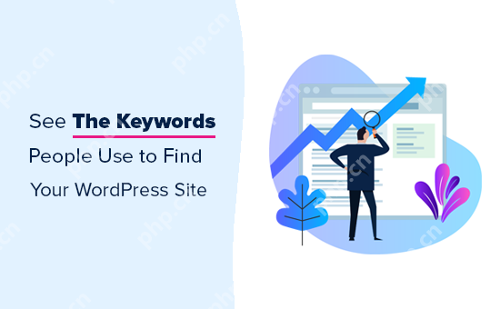如何查看人们用来查找您的 WordPress 网站的关键字-小浪学习网
