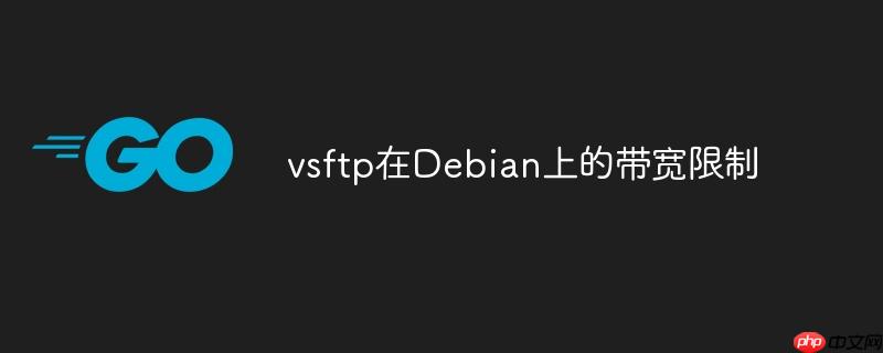 vsftp在Debian上的带宽限制-小浪学习网