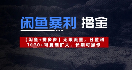闲鱼暴利撸金无限流量，日盈利几张，可复制扩大，长期可操作-小浪学习网