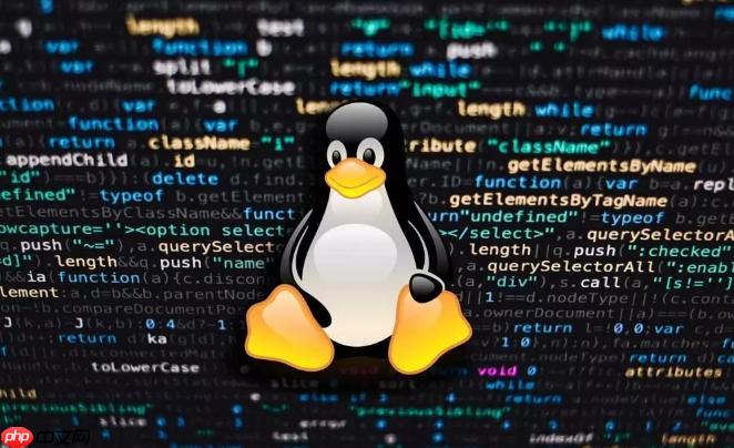 如何理解Linux根目录结构 主要目录功能解析与用途说明