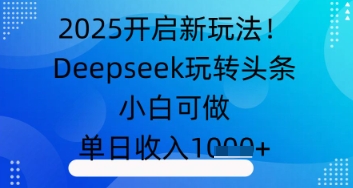 2025开启新玩法！Deepseek玩转头条，小白可做，单日收入几张-小浪学习网
